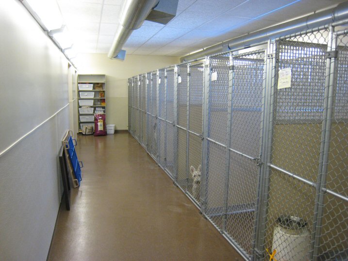 Litchfield Veterinary Hospital - Litchfield, CT - Large Dog Kennel