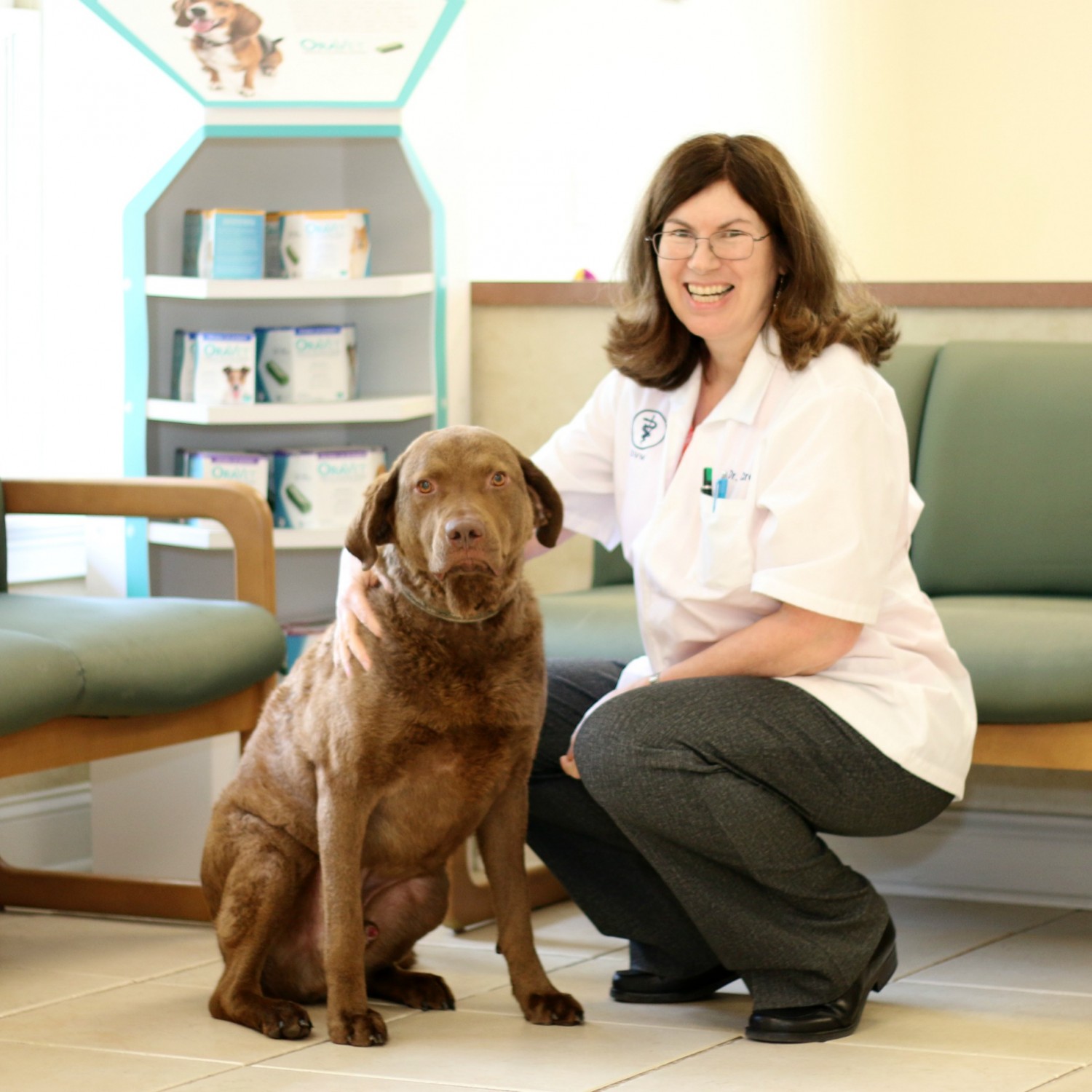 Veterinarian crouching to pose with a brown dog