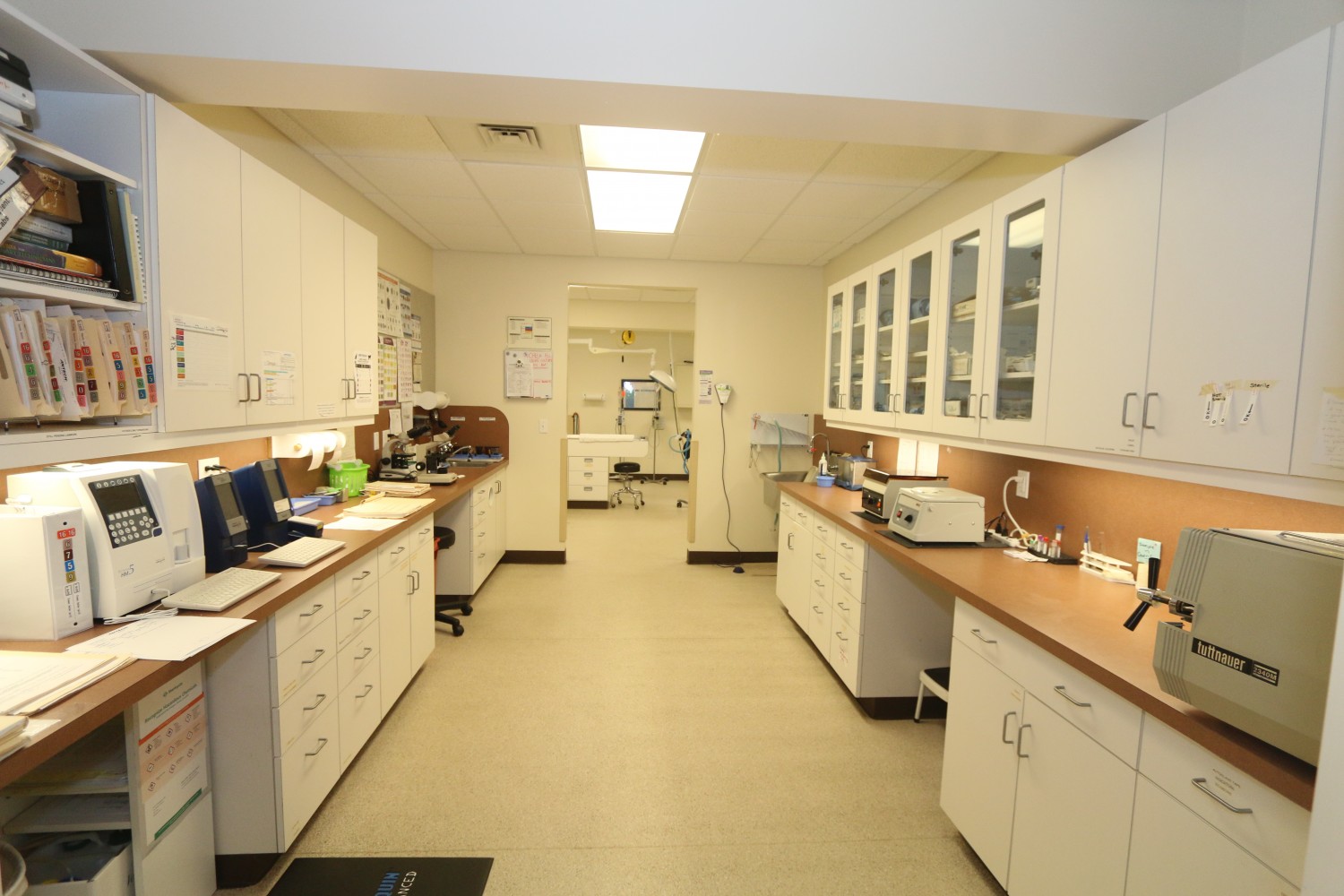 Litchfield Veterinary Hospital - Litchfield, CT - Laboratory