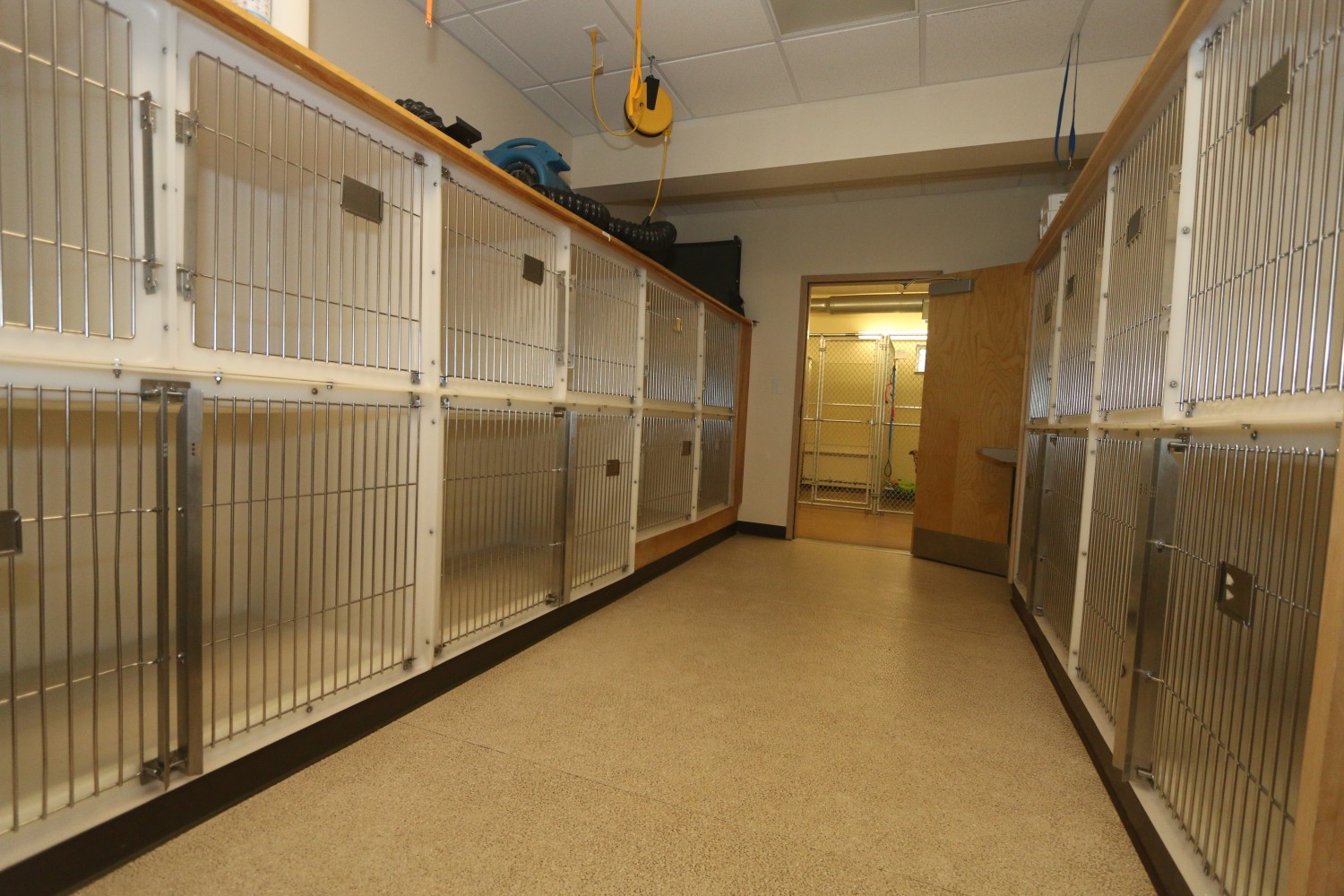 Litchfield Veterinary Hospital - Litchfield, CT - Small Dog Ward