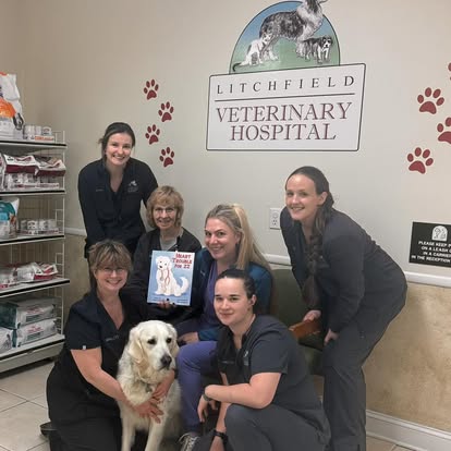 lvh82 Litchfield Veterinary Hospital Team