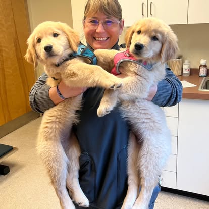 lvh82 Litchfield Veterinary Hospital Staff