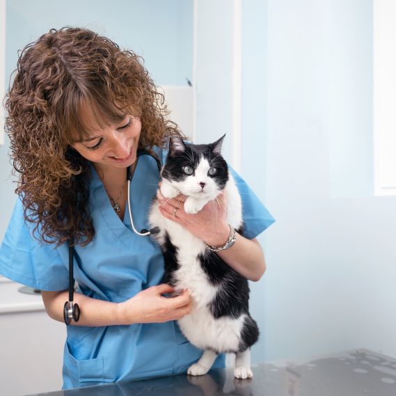 a person in scrubs holding a black and white cat a person in scrubs holding a black and white cat