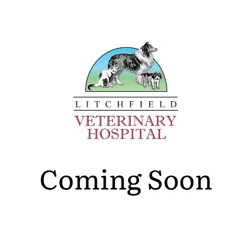 coming Soon Coming Soon