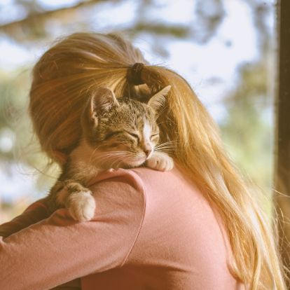 holding a cat in front of a window holding a cat in front of a window