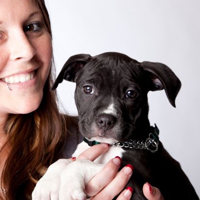 A person holding a black and white puppy A person holding a black and white puppy