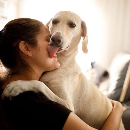 A person is hugging their dog while sitting on a couch A person is hugging their dog while sitting on a couch