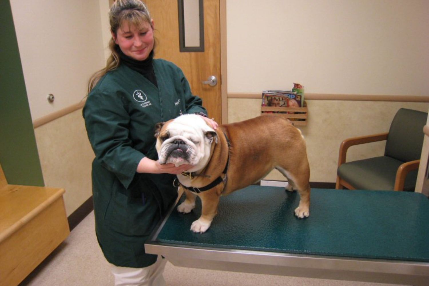 a person in a green coat standing next to a bulldog