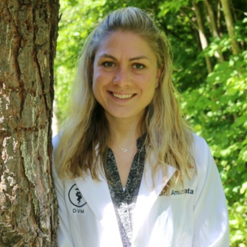 Dr Rachel Ammirata Litchfield Veterinary Hospital Team