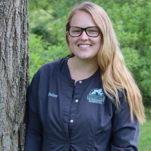 Hailey(1) Litchfield Veterinary Hospital Team