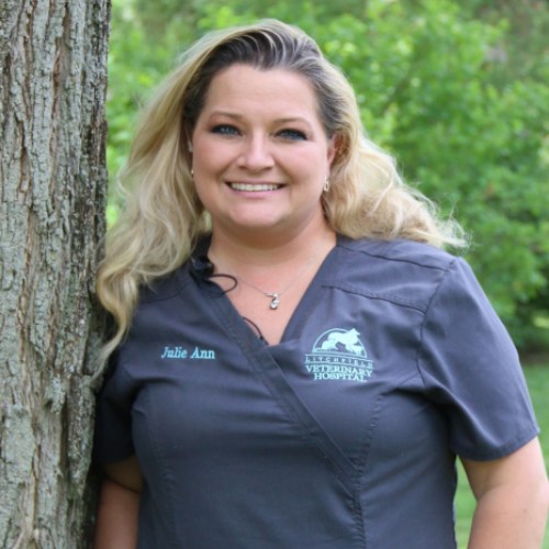 Julie Ann Litchfield Veterinary Hospital Team