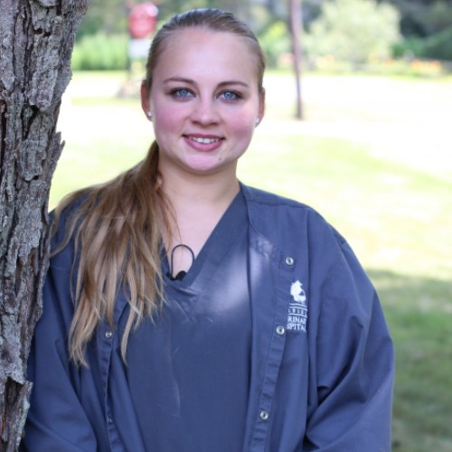 Mila Litchfield Veterinary Hospital Team