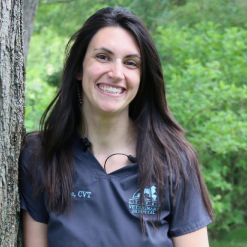 Nicole Litchfield Veterinary Hospital Team