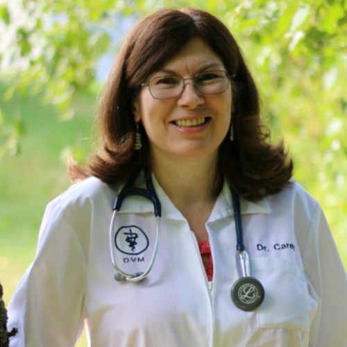 dr-carey Dr Laura Carey