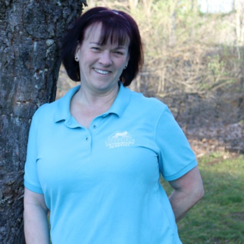 valerie Litchfield Veterinary Hospital Team