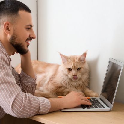 A man is working on a laptop with a fluffy orange cat lying next to him on the desk