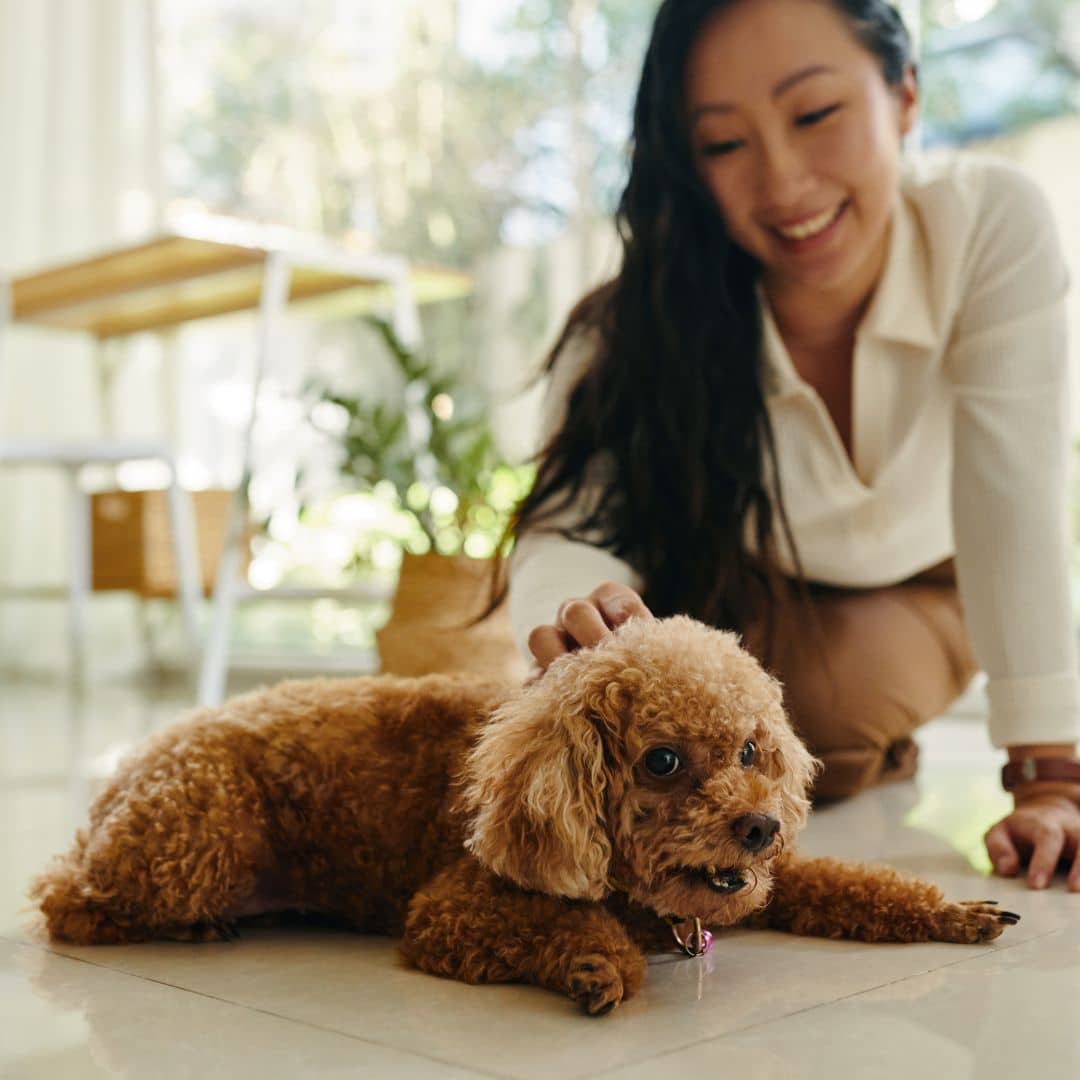 A woman smiles while petting a small brown fluffy dog lying on a sunlit floor.